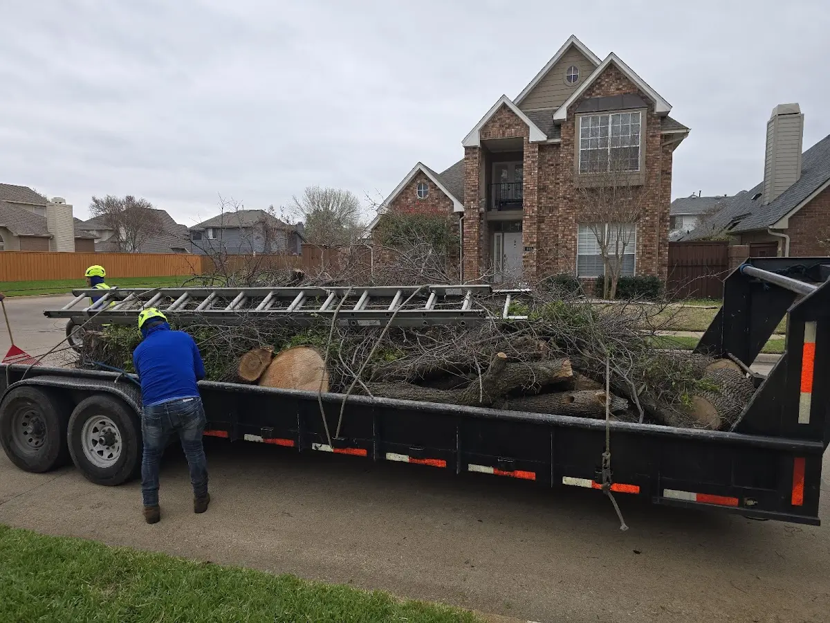 Expert Tree Fertilization with proper safety equipment in Fair Haven